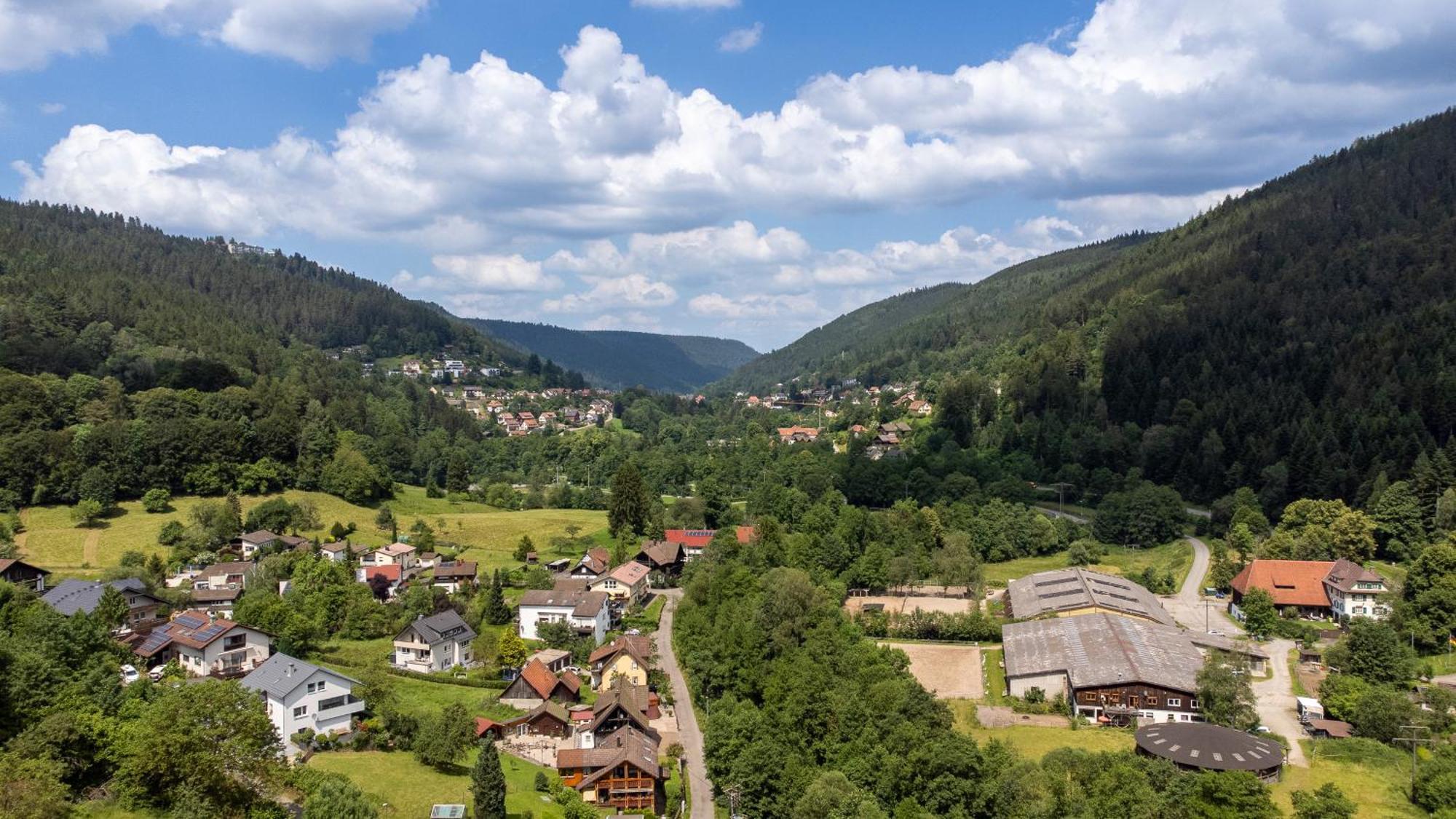 Black Forest Design Apartment Bad Wildbad Bagian luar foto
